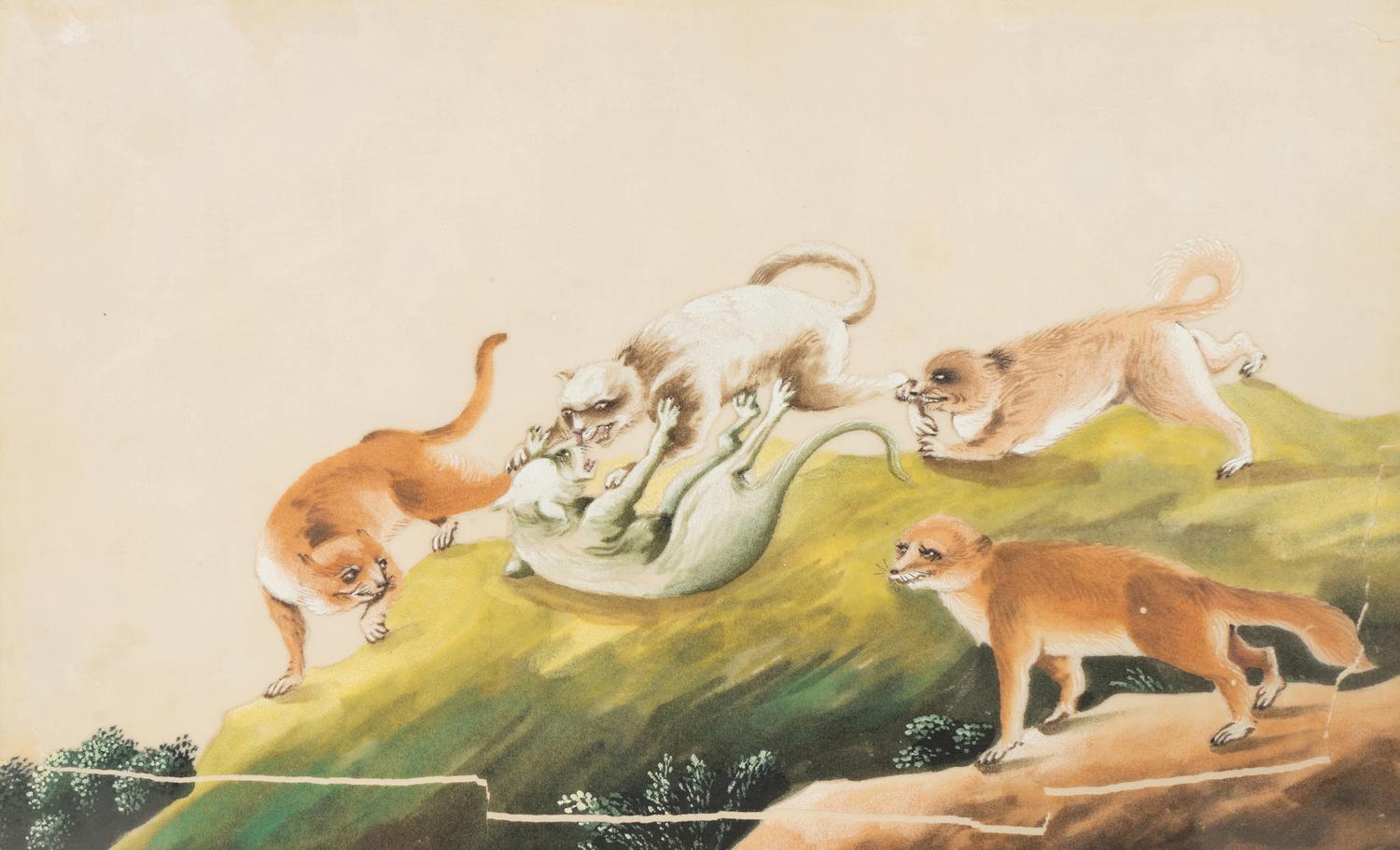 A Collection of Twelve Chinese Zoological Ink and Color Pith Paintings