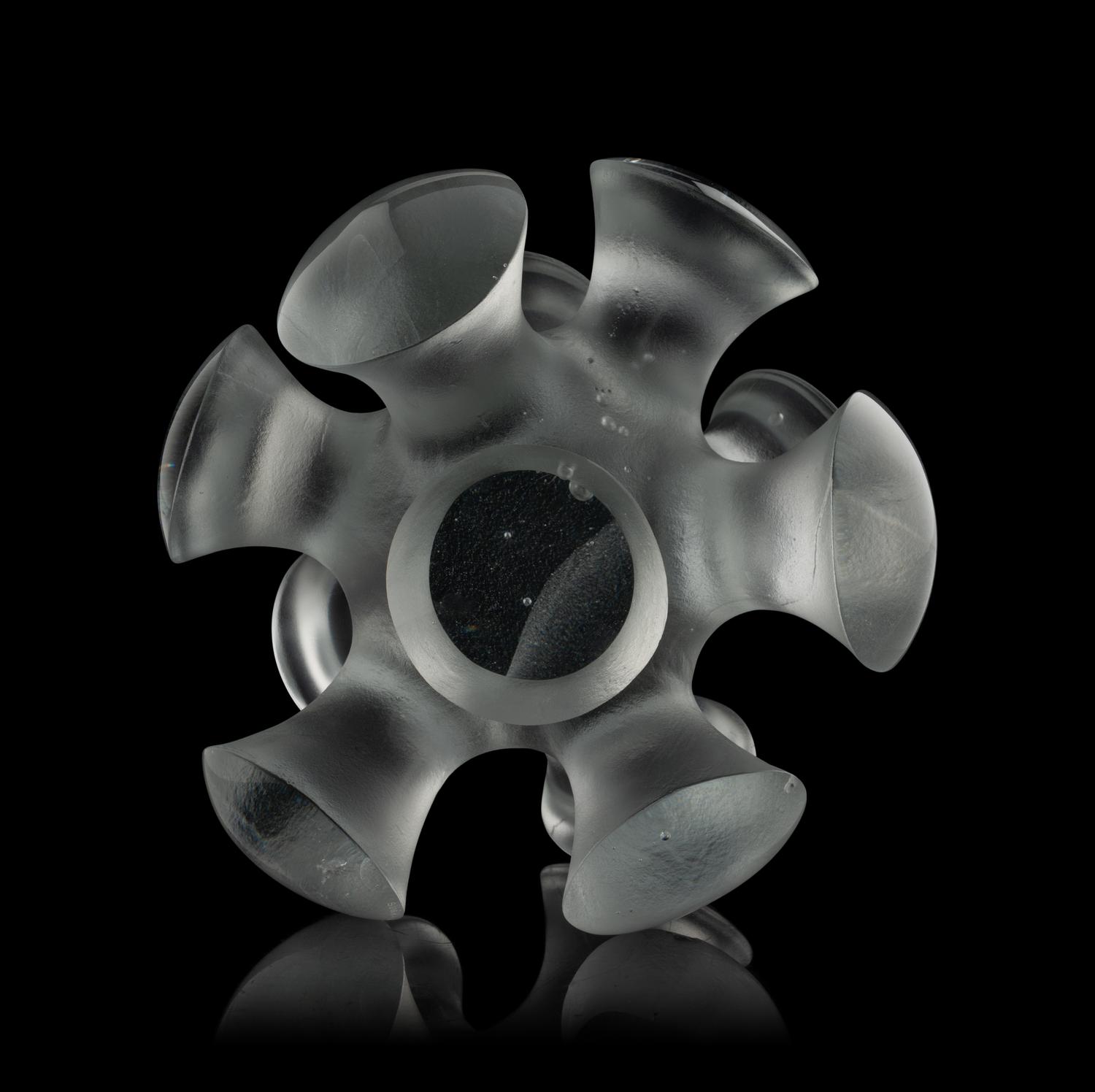 Amoeba , 2005