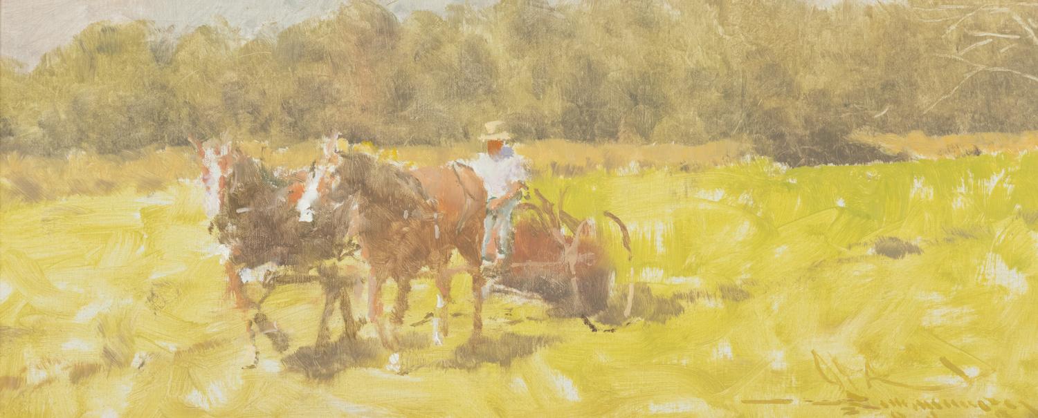 Mowing Hay