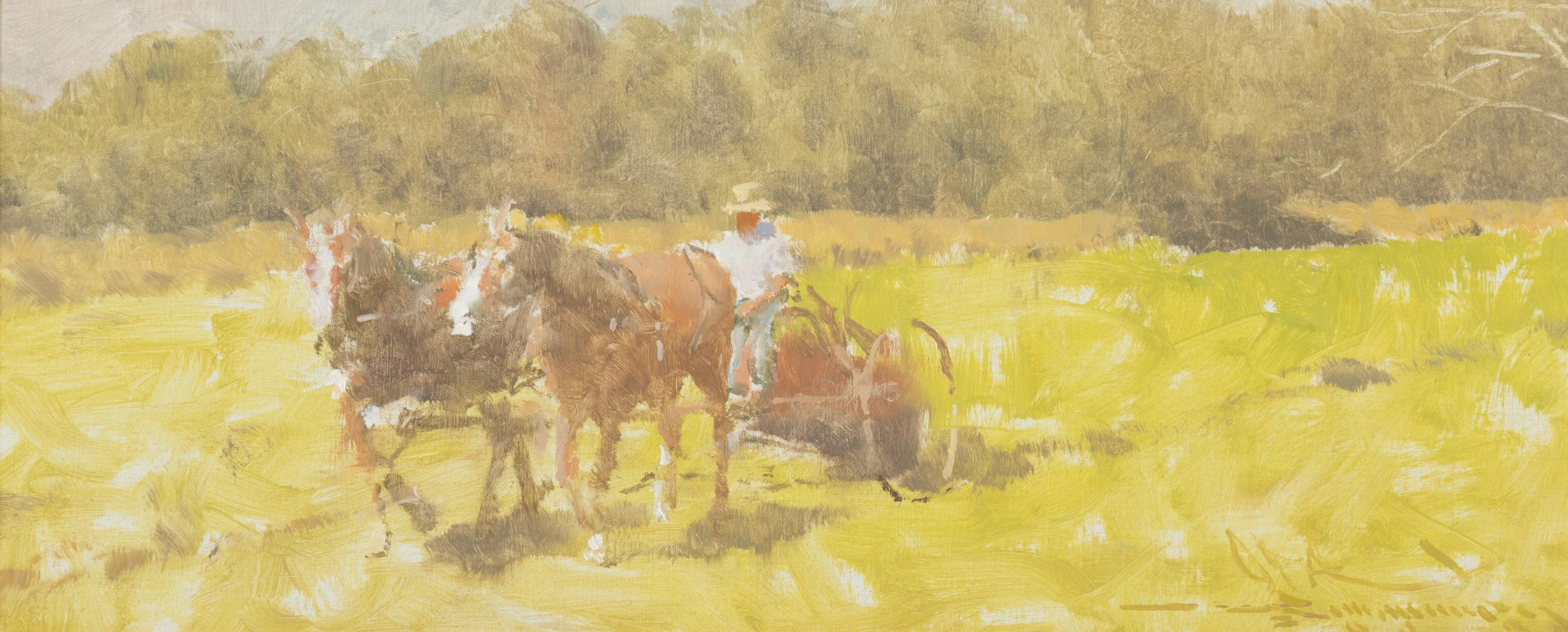 Mowing Hay