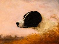 Artist Unknown(19th Century)Head of a Dog