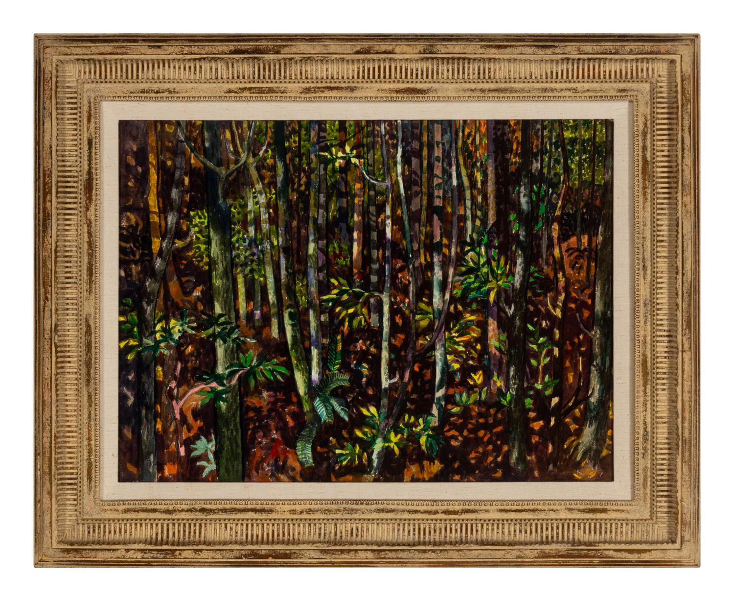 Spring in Deep Woods, California , 1976
