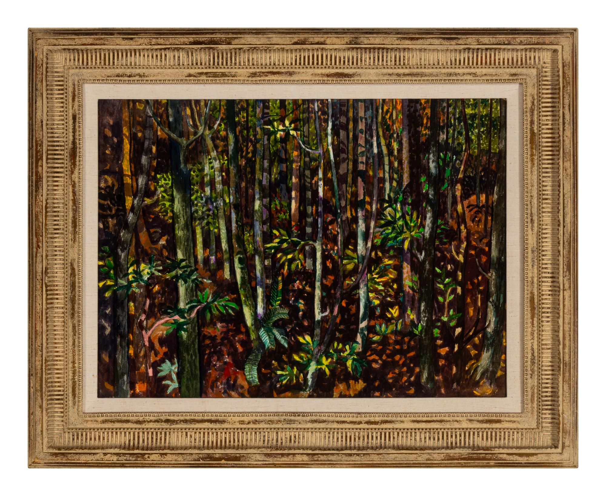 Spring in Deep Woods, California , 1976