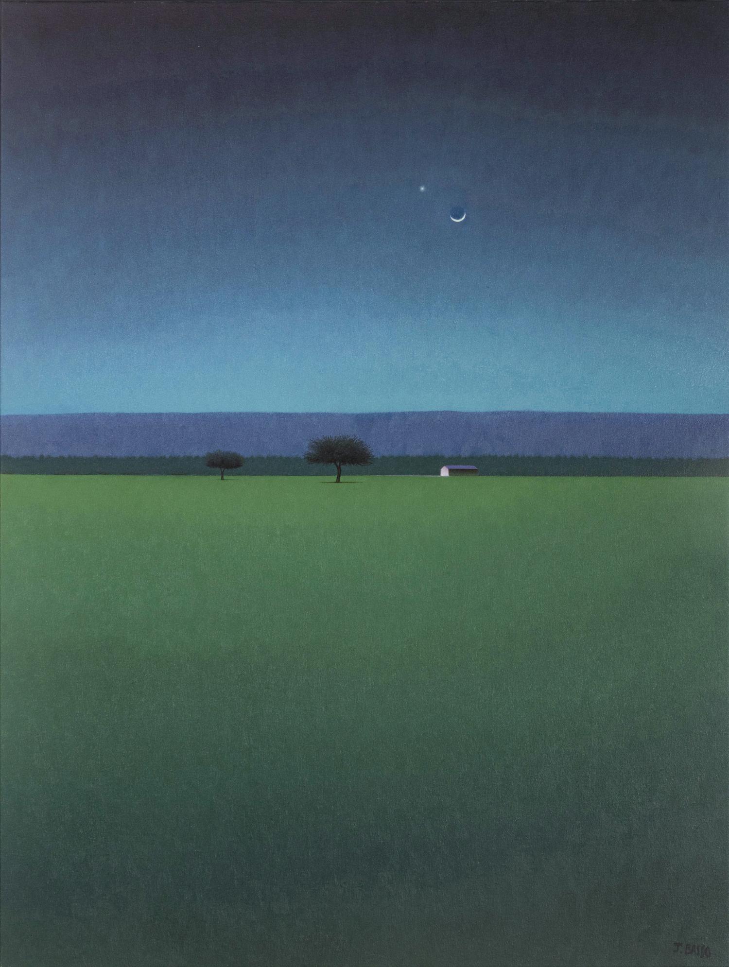 Noche de Luz Turqueza , 2011