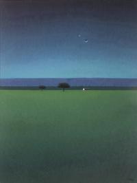 Noche de Luz Turqueza , 2011