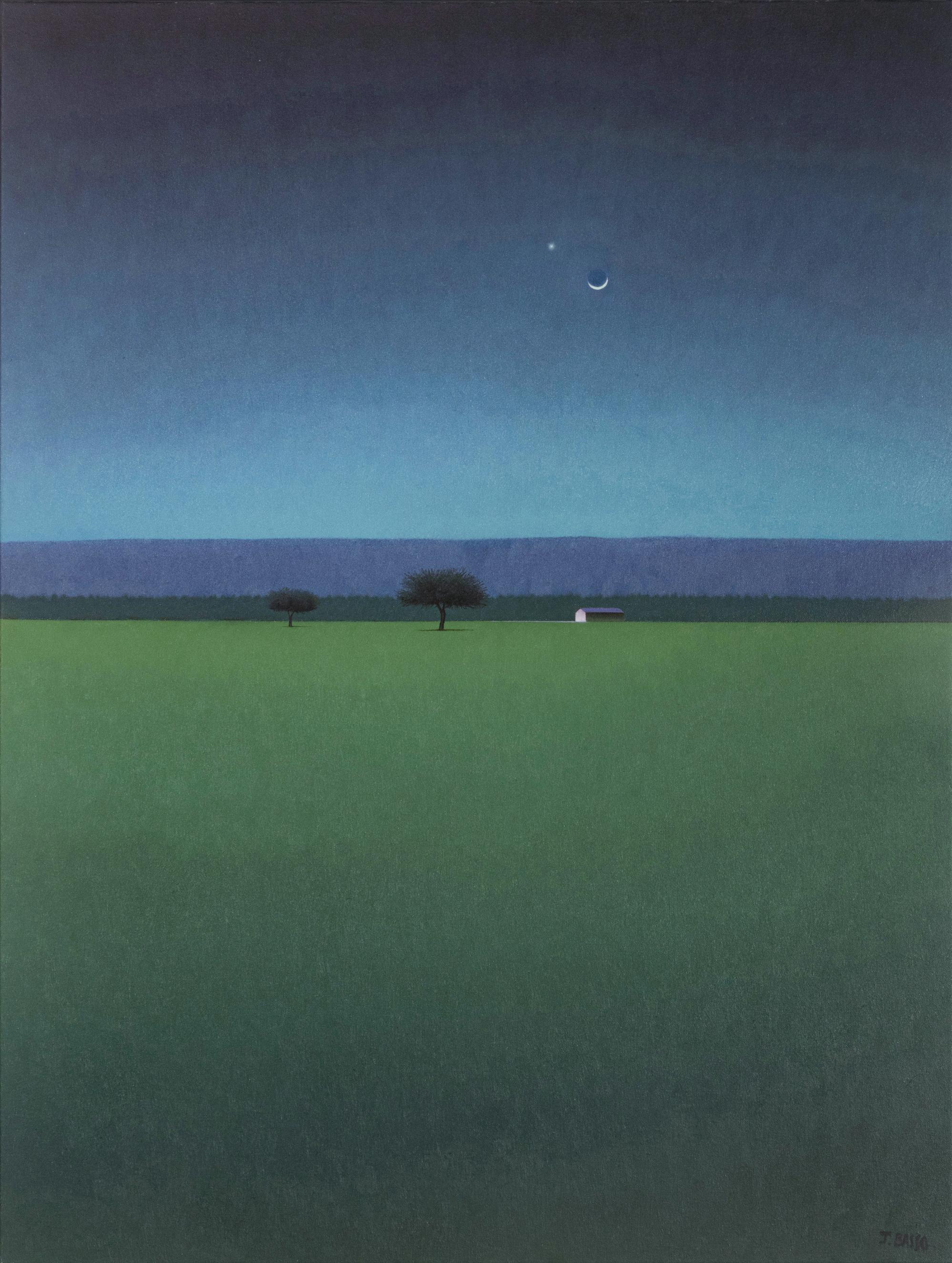 Noche de Luz Turqueza , 2011