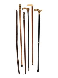 Six Canes, Including Two Presentation Examples