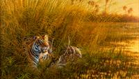 Heart of India