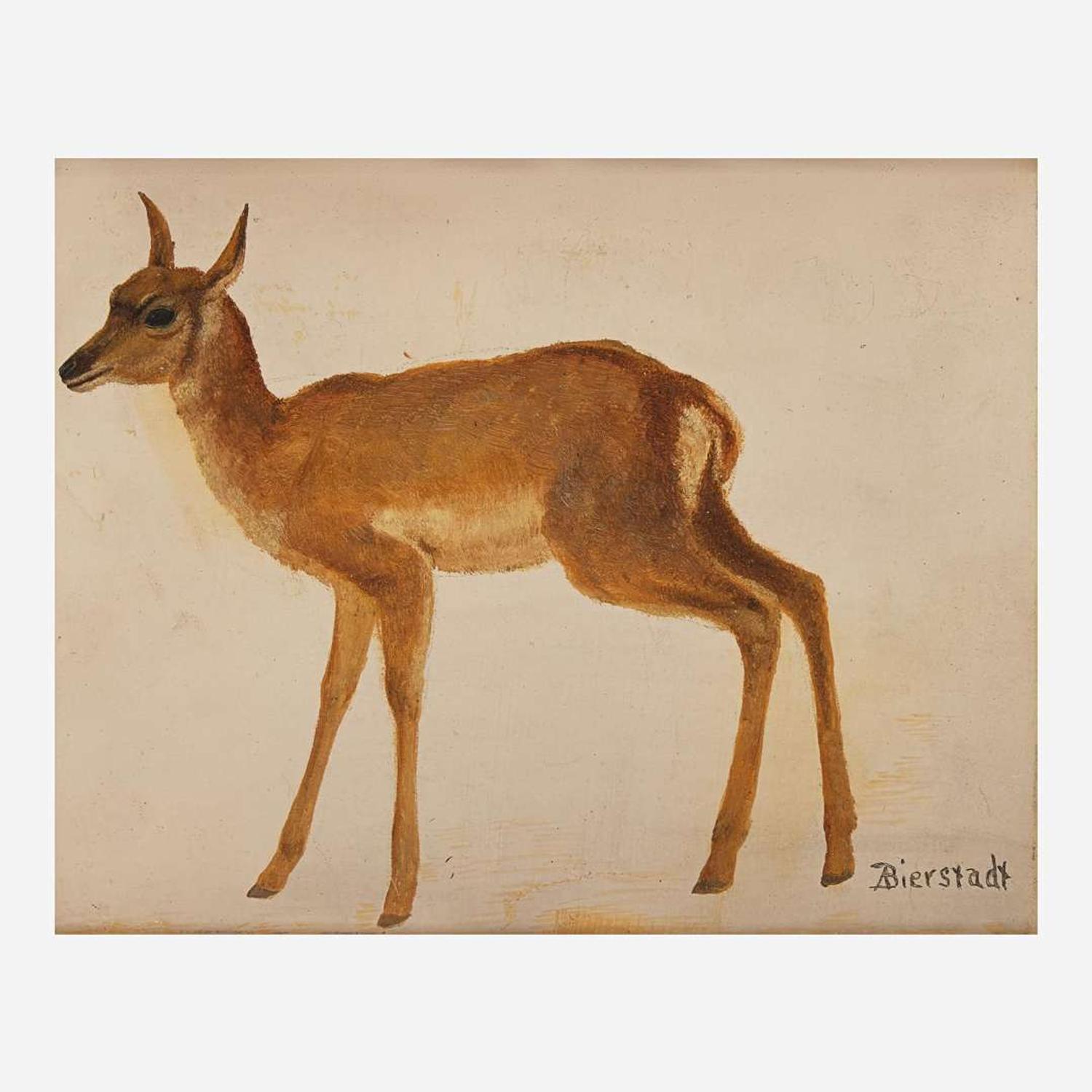 Albert Bierstadt (American, 1830–1902) Study of a Deer