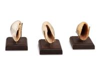 Three Scrimshaw Whale's Teeth