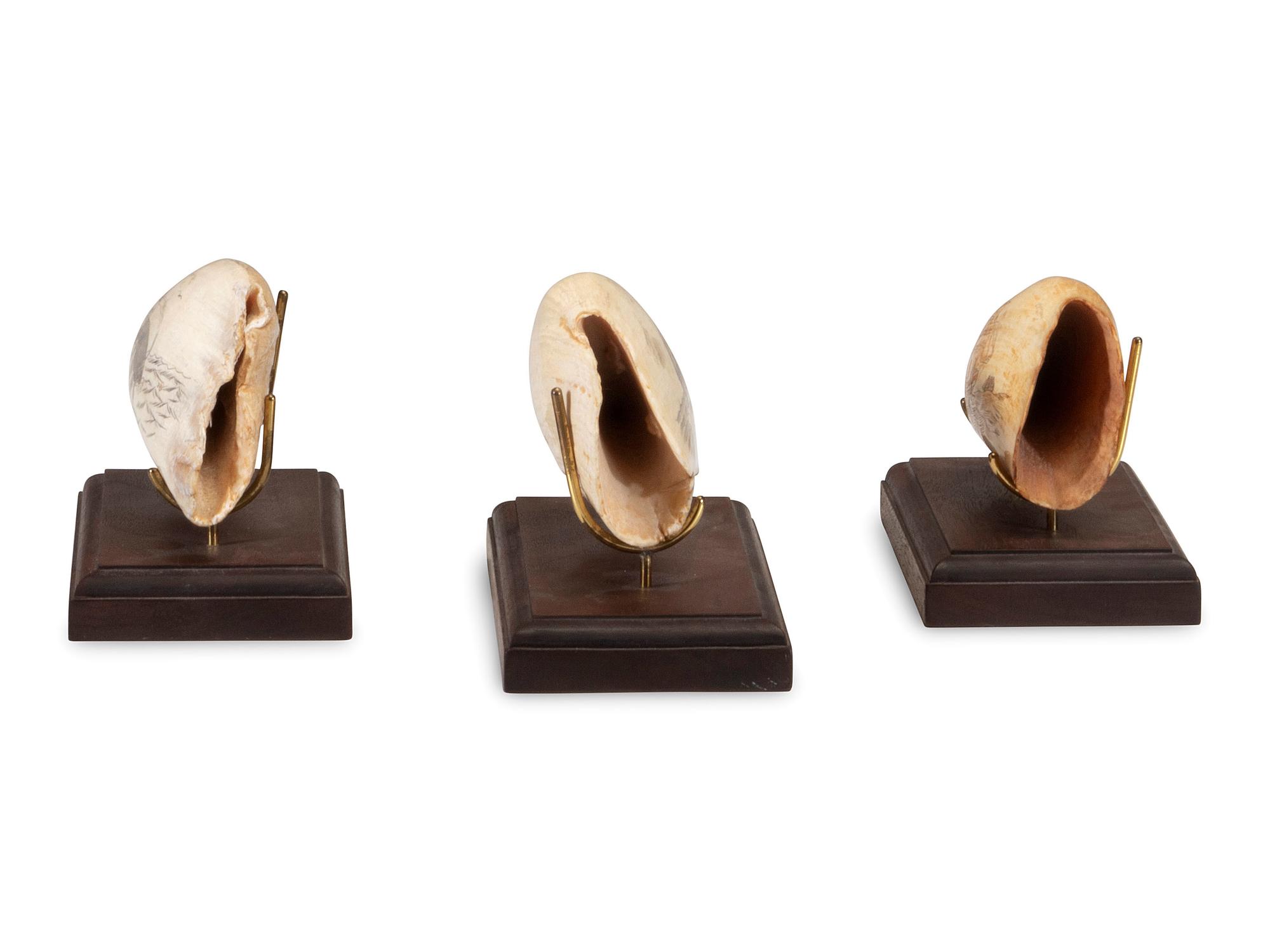 Three Scrimshaw Whale's Teeth