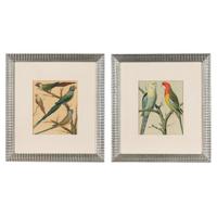 The Illustrated Book of Canaries and Cage-Birds, British and Foreign Cassell & Co., Limited: Six Plates