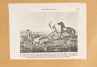 CURRIER and IVES, publishers -- After Louis Maurer