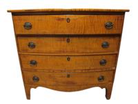 Federal bow front tiger maple chest circa 1800