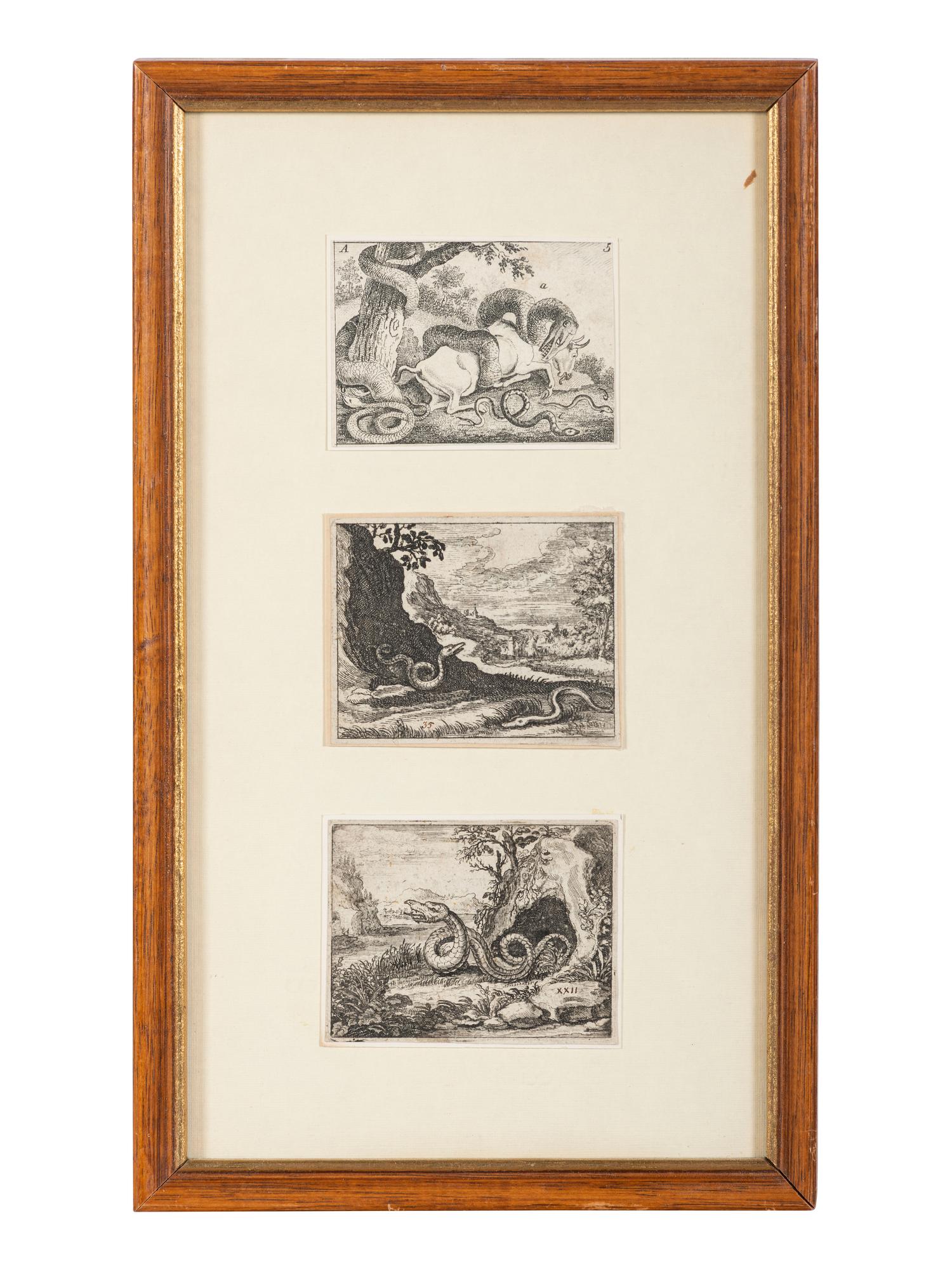 Seven Intaglio Prints of Reptiles