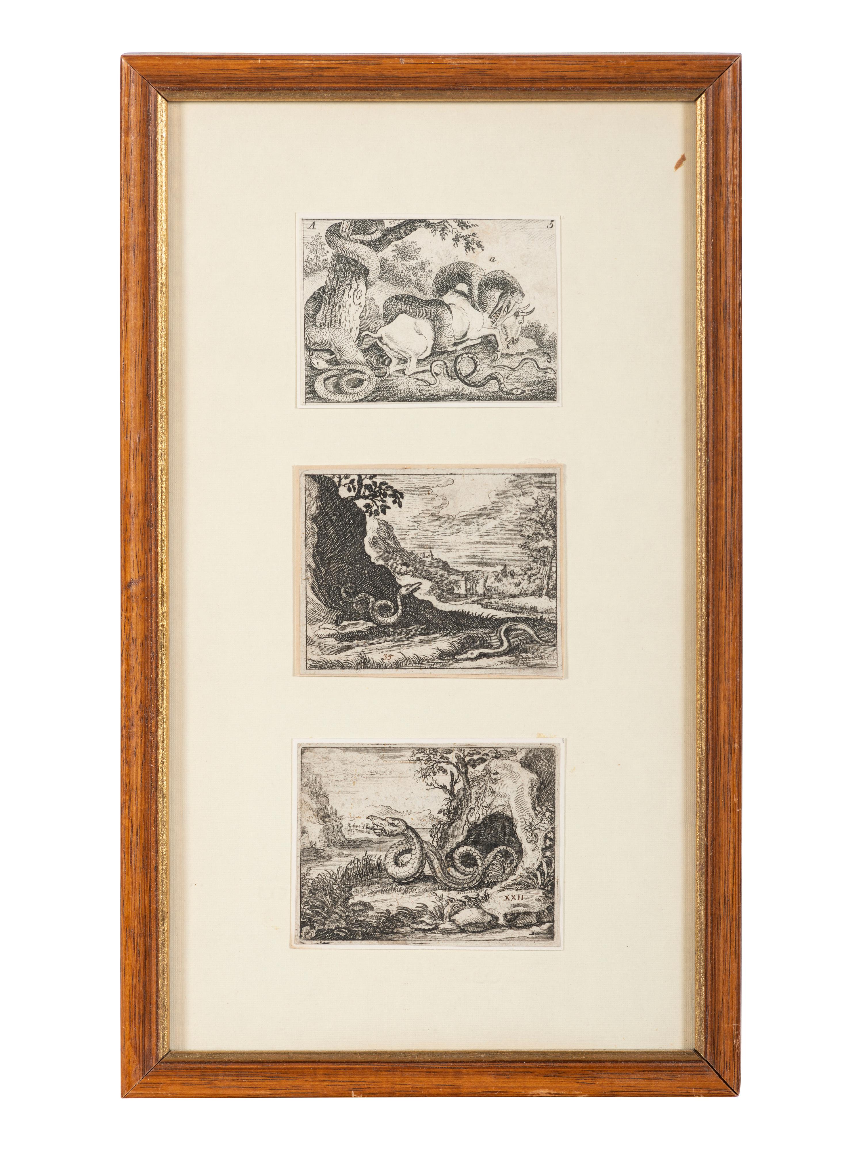 Seven Intaglio Prints of Reptiles