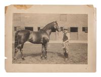 [EARLY PHOTOGRAPHY]. A large group of early photographs incl. equestrian and logging views.