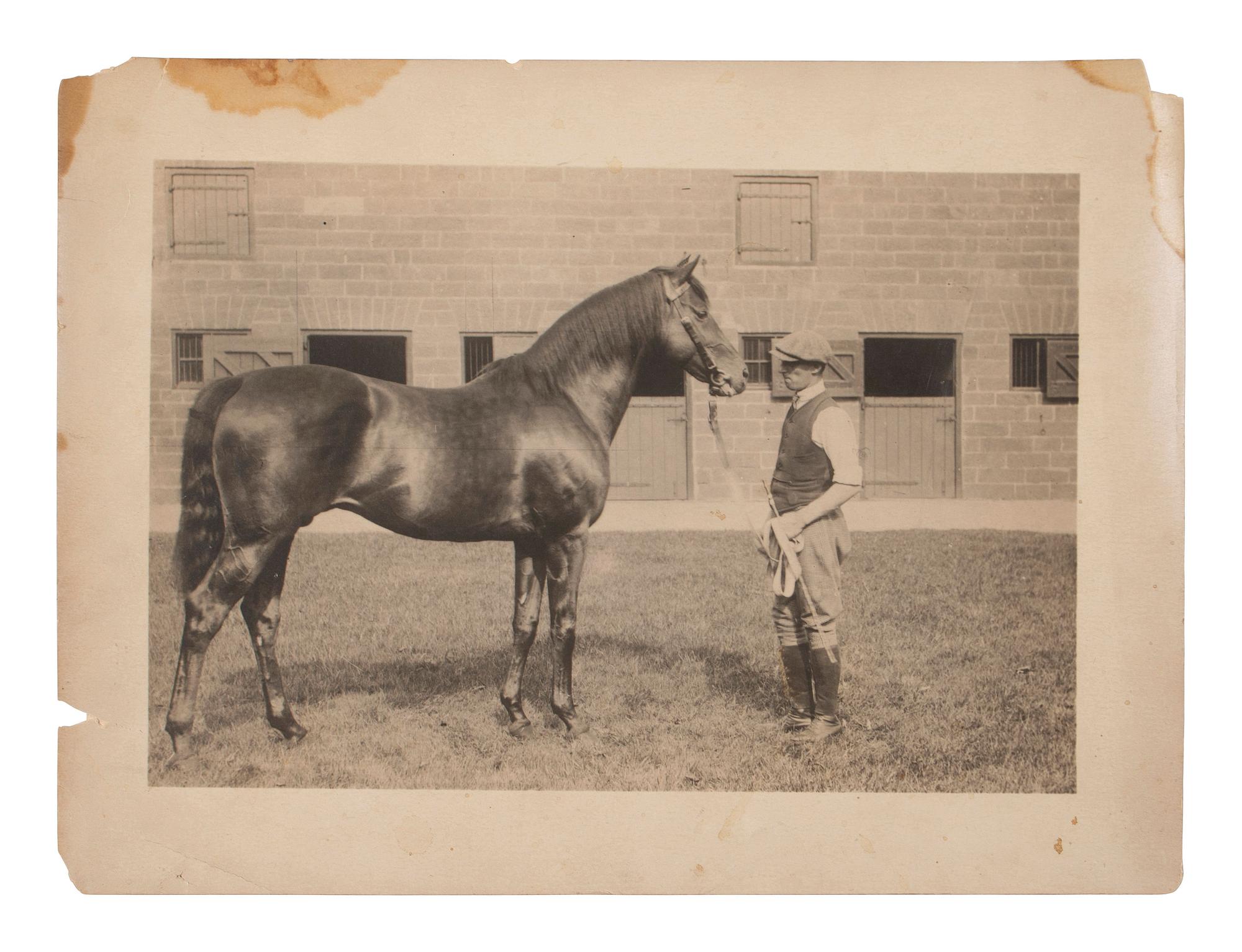 [EARLY PHOTOGRAPHY]. A large group of early photographs incl. equestrian and logging views.