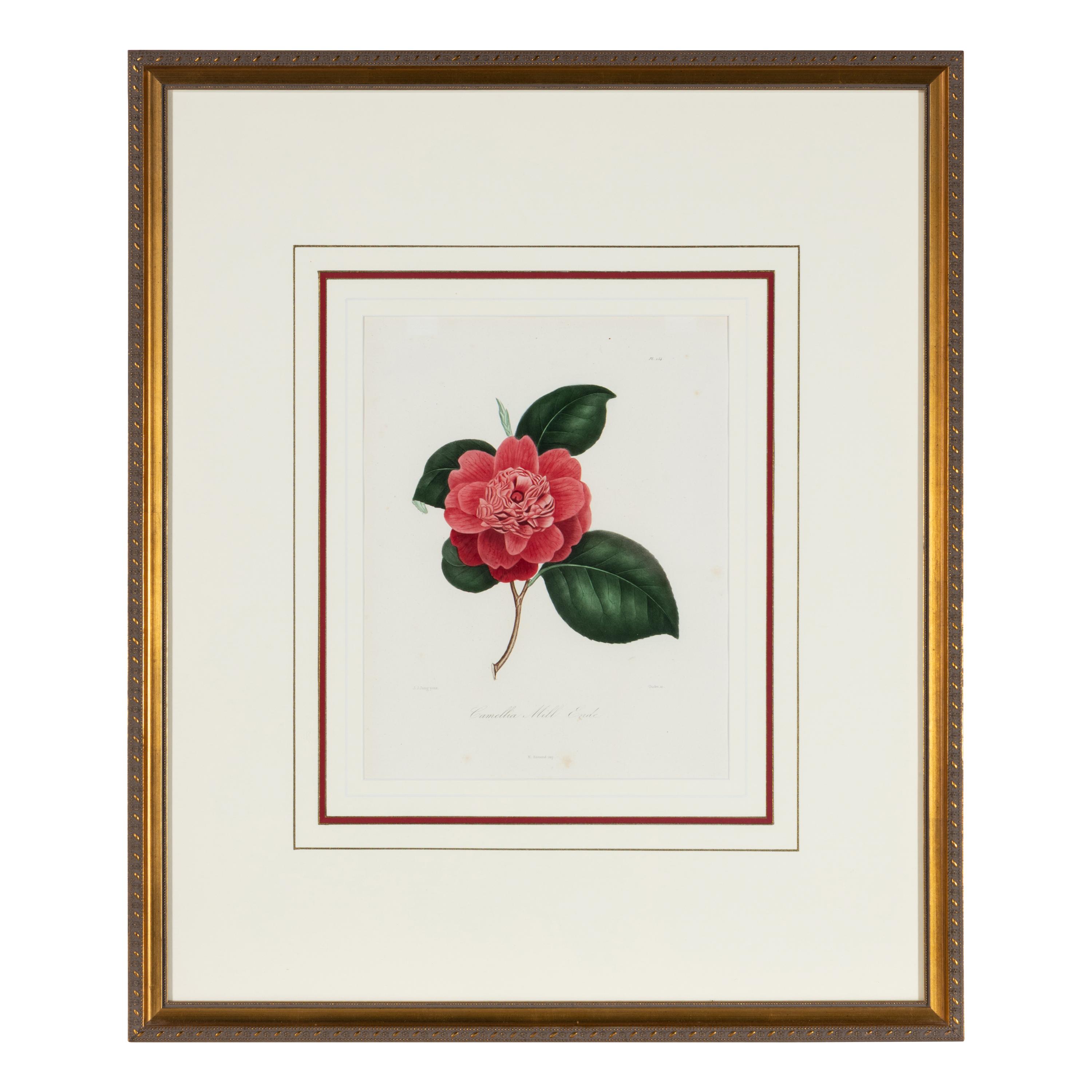 A Set of Five French Botanical Prints