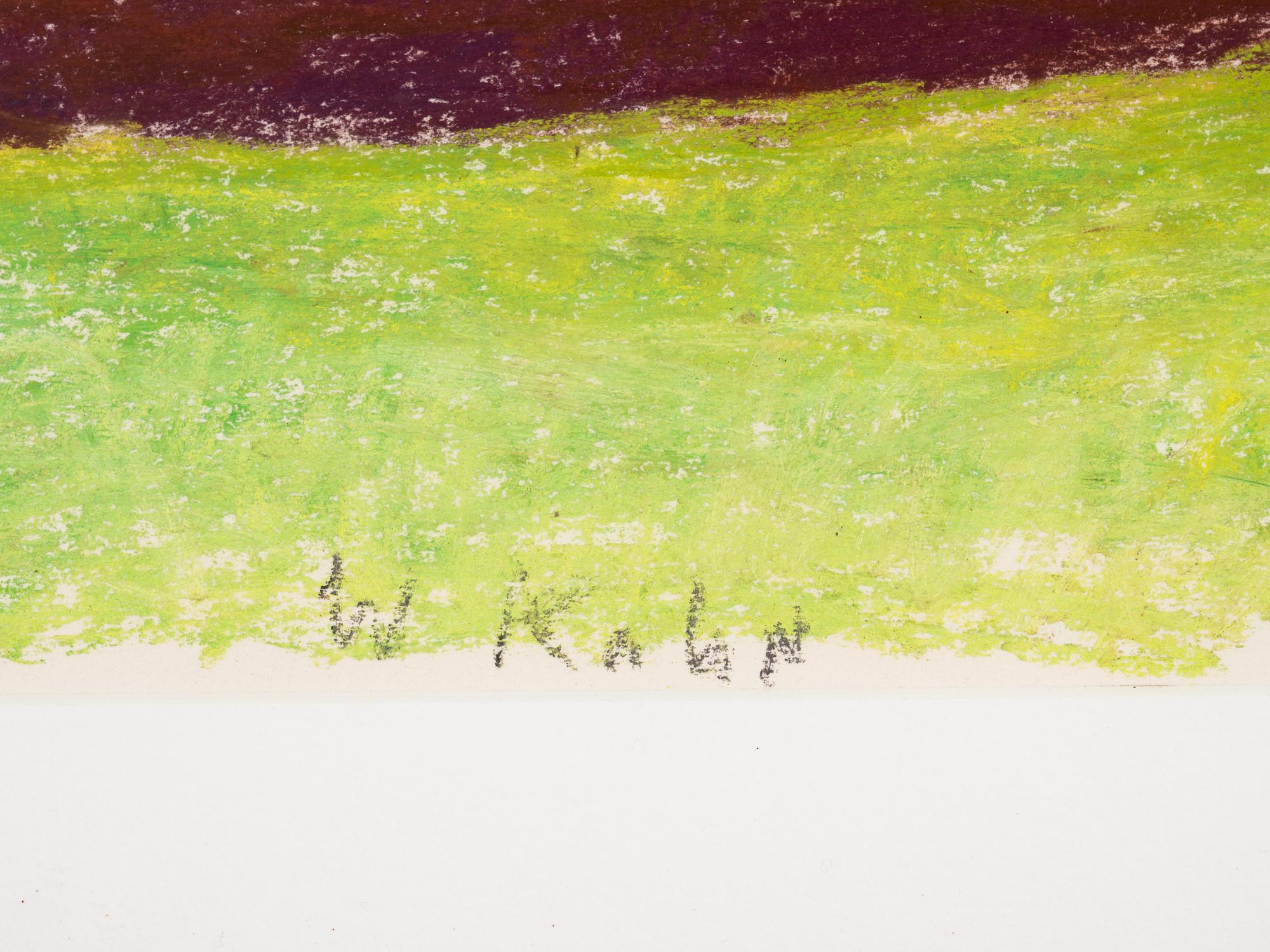 Oaks Along the Edge of a Field