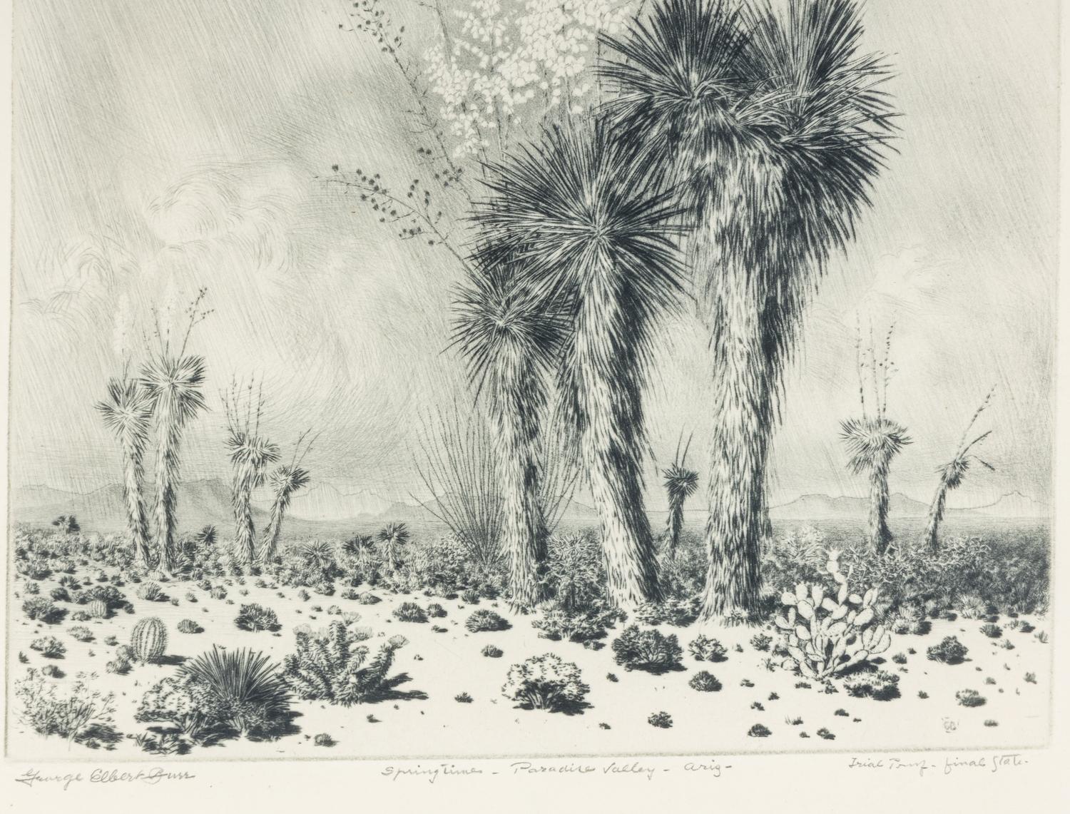 Springtime, Paradise Valley, Ariz.