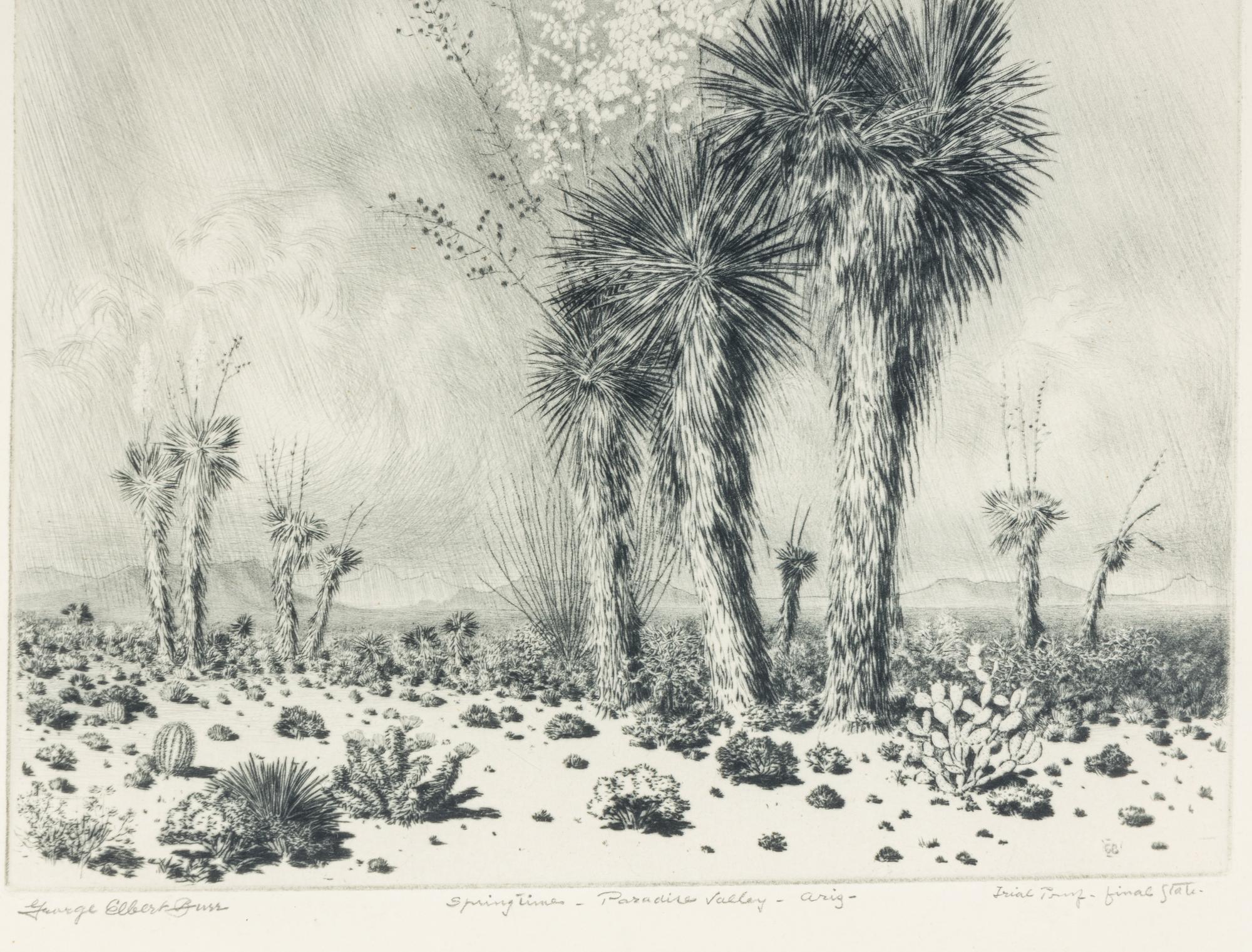 Springtime, Paradise Valley, Ariz.