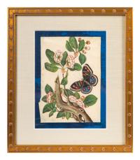A Group of Six Chinese Pith Paintings of Butterflies and Flowers — 19TH/20TH CENTURY