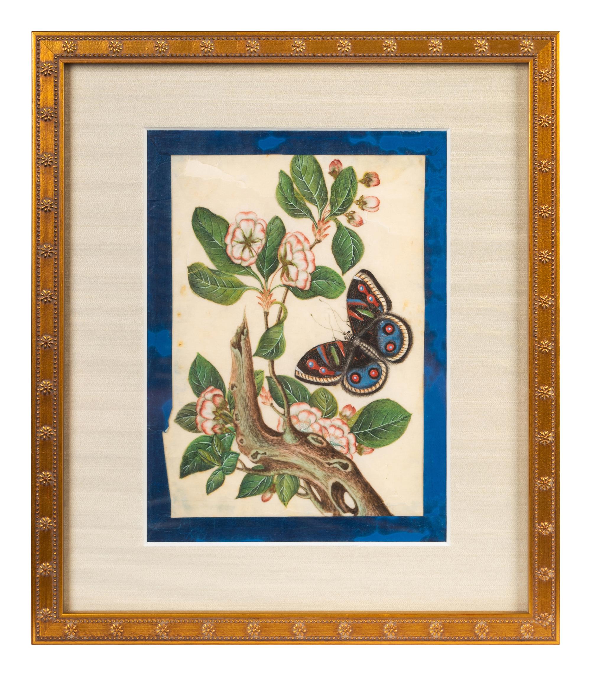 A Group of Six Chinese Pith Paintings of Butterflies and Flowers — 19TH/20TH CENTURY