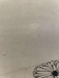 Chen Zun 陈遵 菊图 (Chinese)