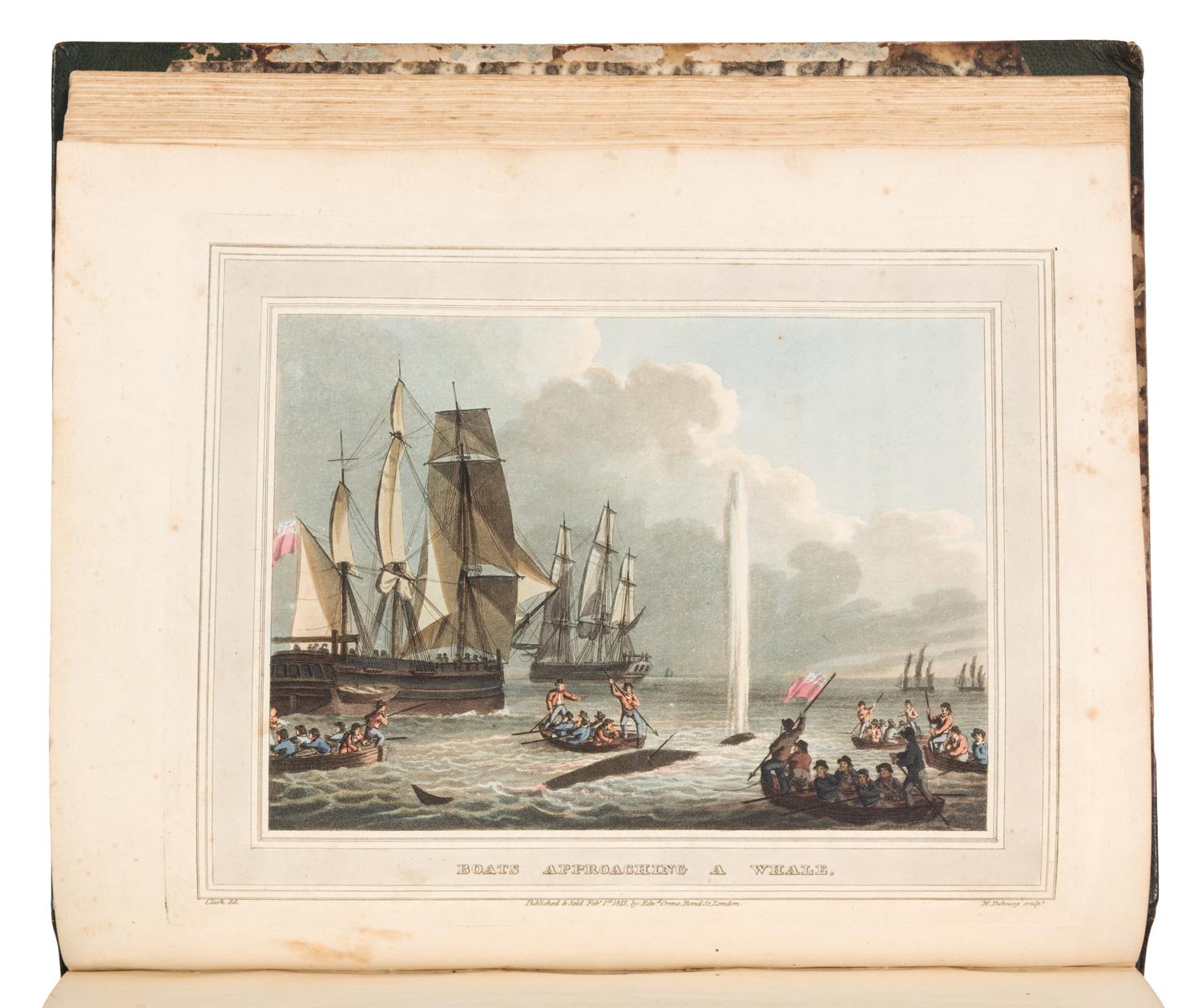 [FOREIGN FIELD SPORTS]. Foreign Field Sports, Fisheries, Sporting Anecdotes, &c. With Supplement on New South Wales. London, 1814.