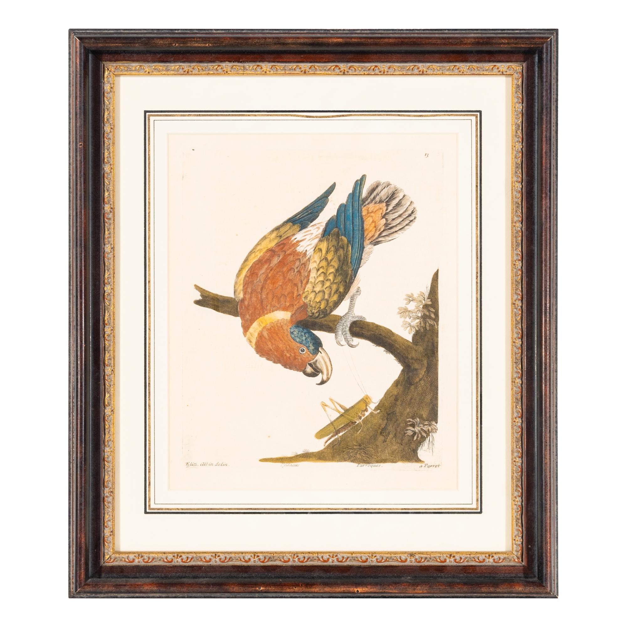 A Group of Nine Hand-Colored Engravings of Birds
