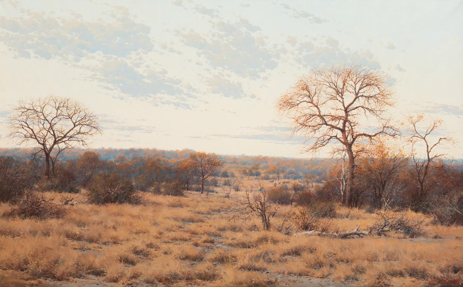 Bushveld