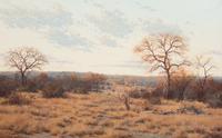 Bushveld