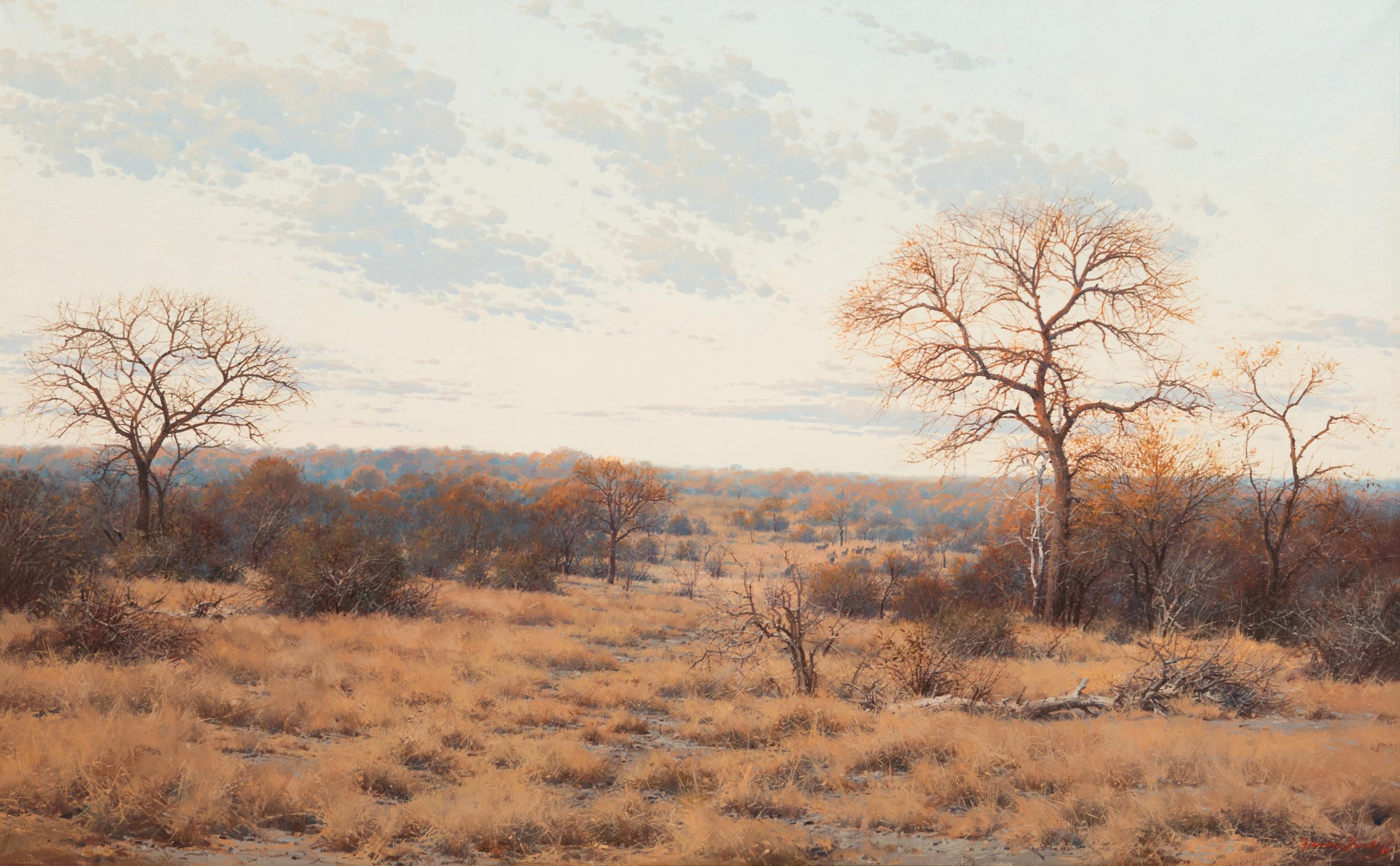 Bushveld