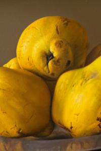 Quince , 1989