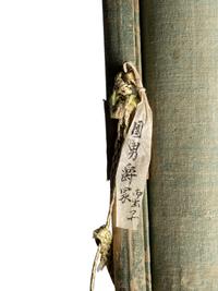 With Signature of Mao Yi
