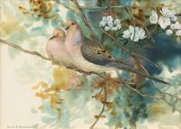 Morning Doves , 1995