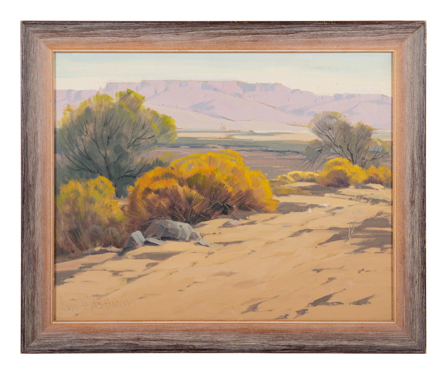 Mountain Mesa