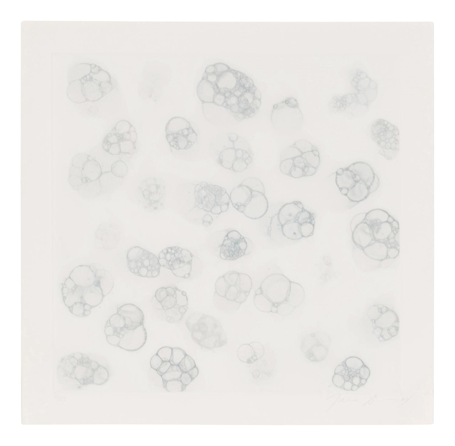 Untitled 1-V (complete set of 5), 2004