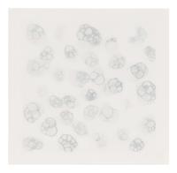 Untitled 1-V (complete set of 5), 2004