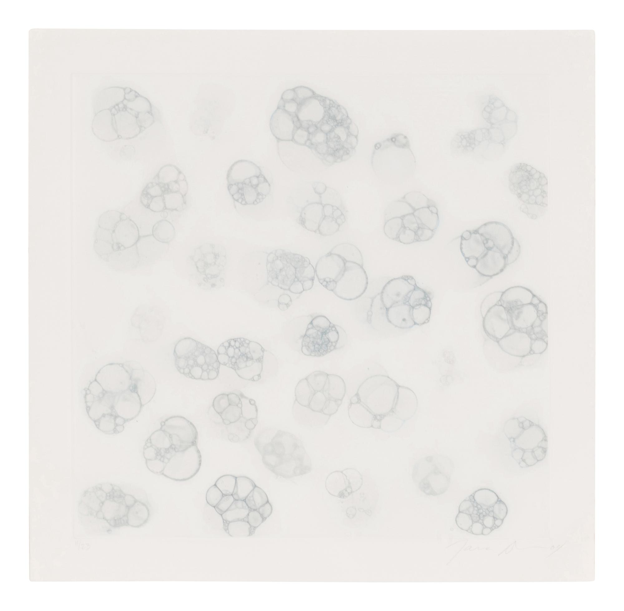 Untitled 1-V (complete set of 5), 2004