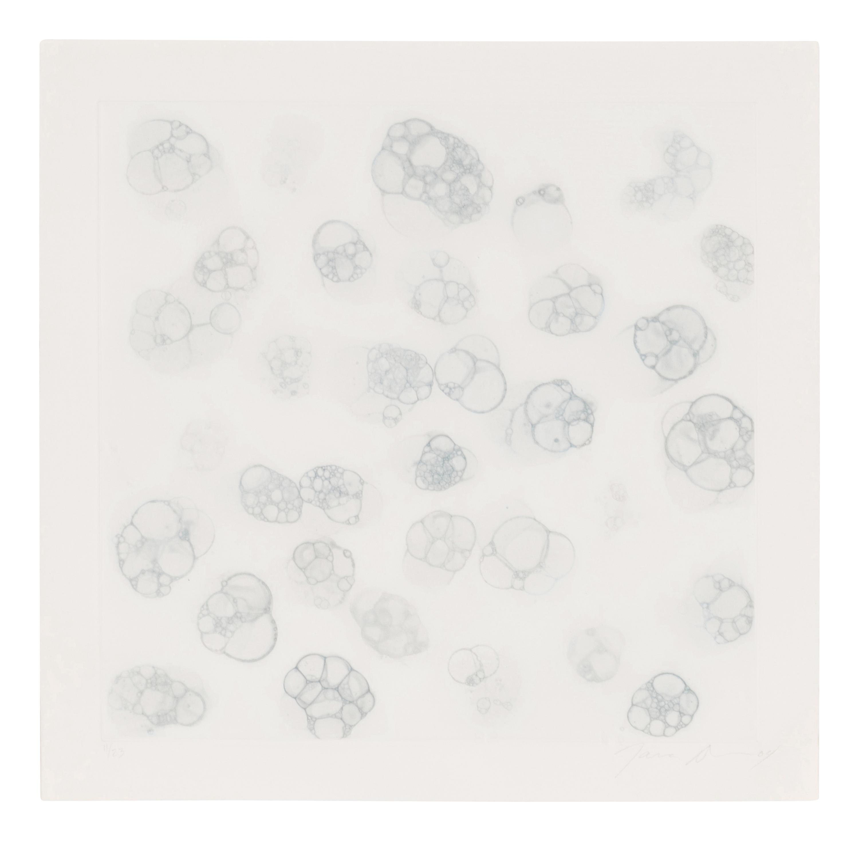 Untitled 1-V (complete set of 5), 2004