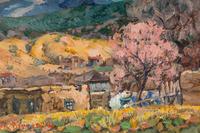 Mountain Village