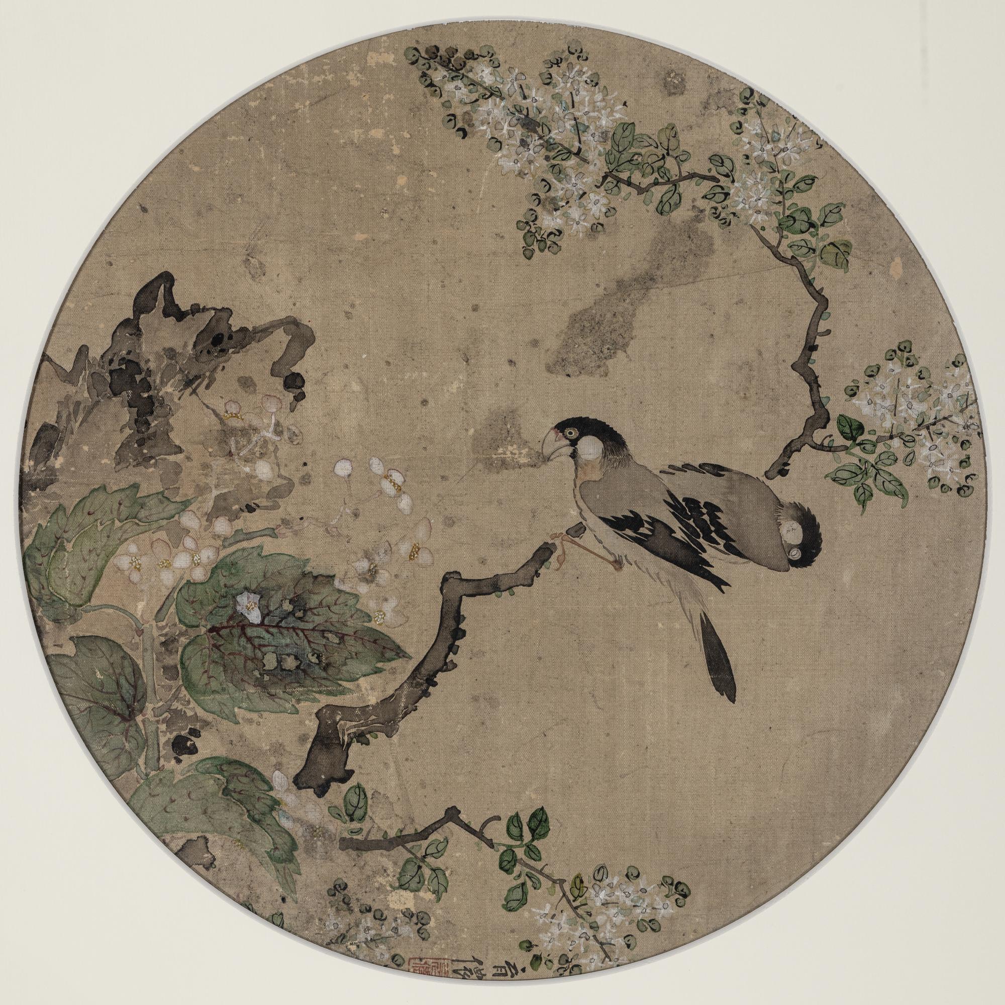 Five Chinese Paintings Depicting Birds and Flowers