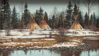 Black Foot Camp