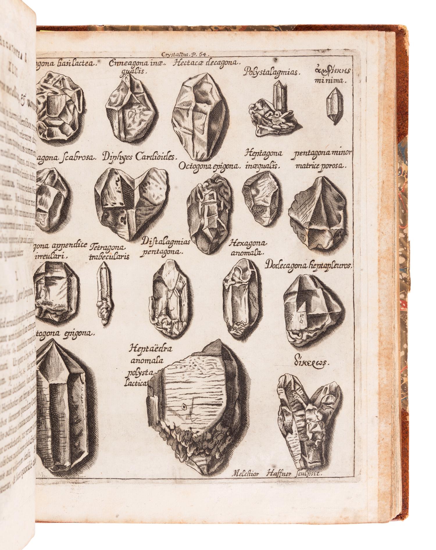 WELSCH, Georg Hieronymus (1624-1677). Hecatosteae I [ -II ]. Observationum Physico-Medicarum ad Societatem Naturae Curiosorum in Germania . Augsburg: Theophil Goebel and Joannis Schönig, 1675.