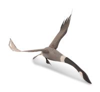 A Folk Art Carved and Polychrome Painted Canada Goose