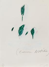 Natural History Part II: Some Trees of Italy (complete portfolio of 8)