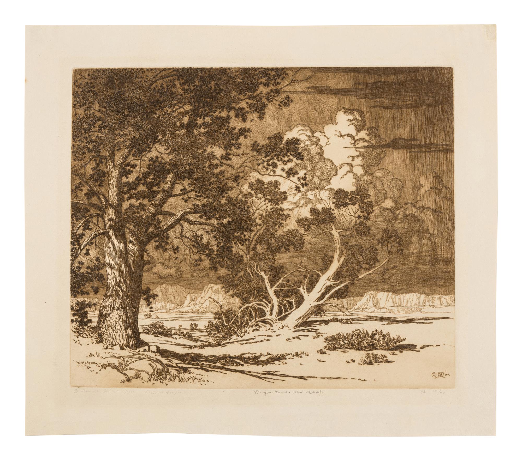Three Works: Mesa Encantada, N. Mex, Pinon Trees - New Mexico, and Navajo Church