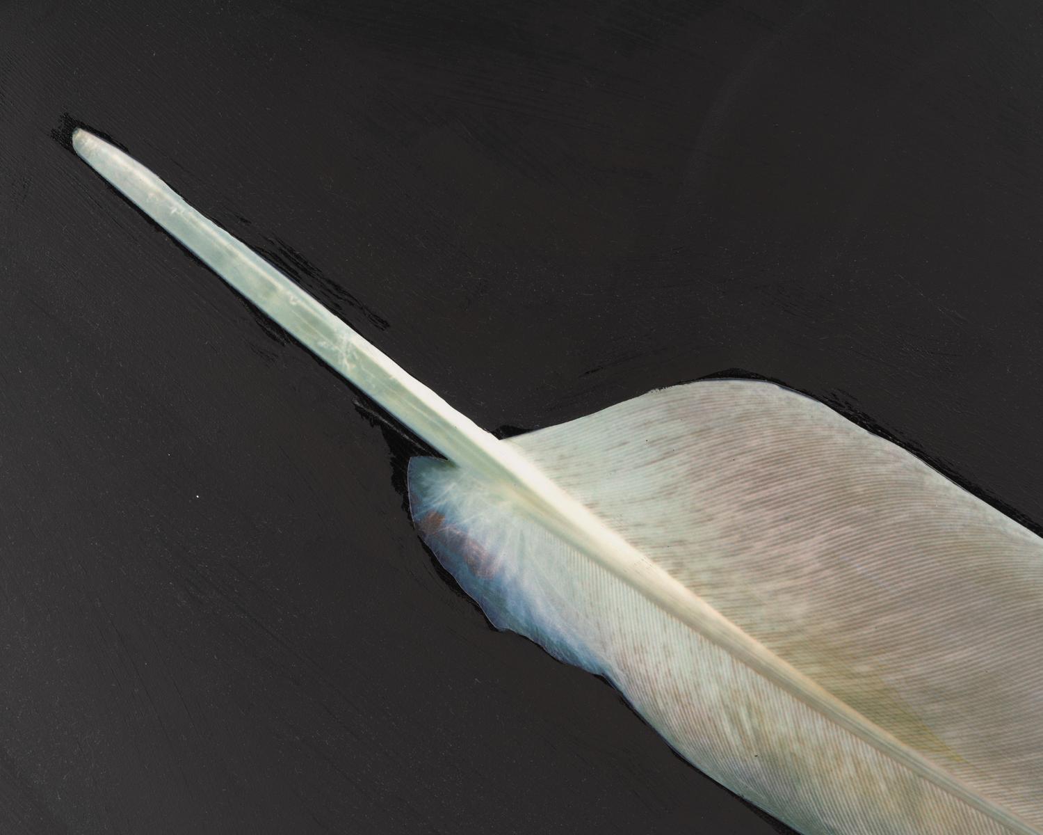 Feather